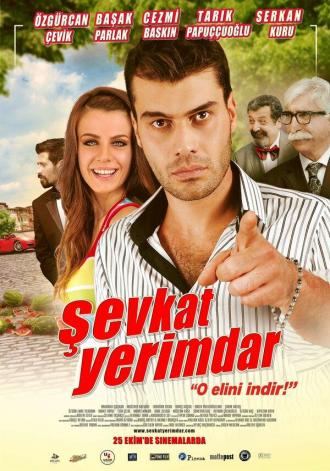 Şevkat Yerimdar (movie 2013)