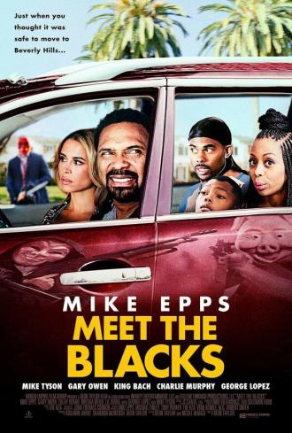 Meet the Blacks (movie 2016)