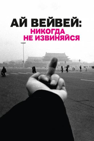 Ai Weiwei: Never Sorry (movie 2012)