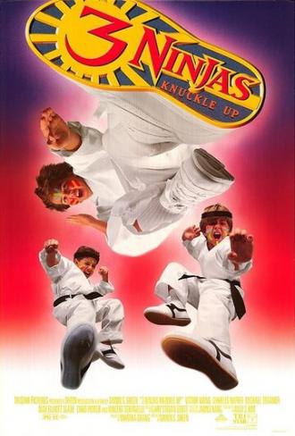 3 Ninjas Knuckle Up (movie 1994)