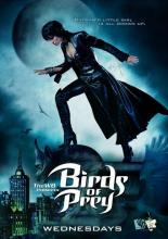 Birds of Prey (2002)