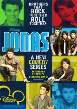 Jonas Brothers: Living the Dream (2008)