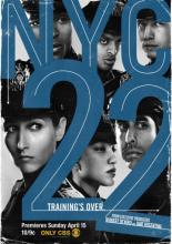 NYC 22 (2012)