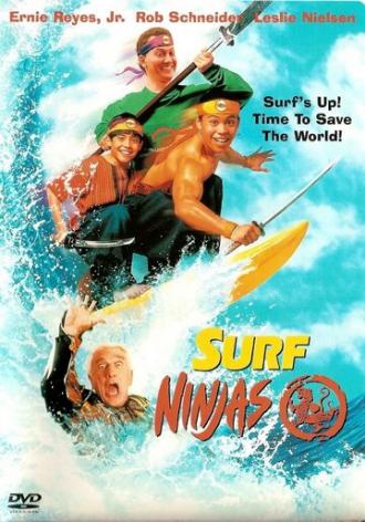 Surf Ninjas (movie 1993)