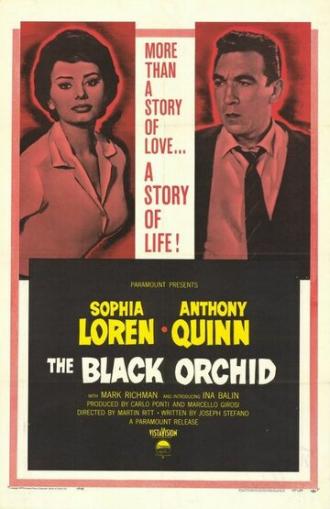 The Black Orchid (movie 1958)