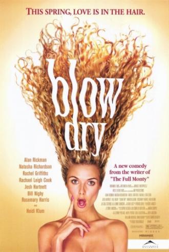 Blow Dry (movie 2001)
