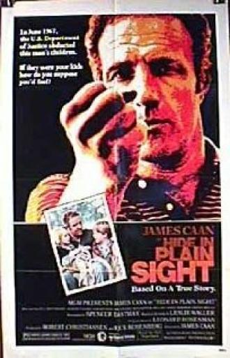 Hide in Plain Sight (movie 1980)