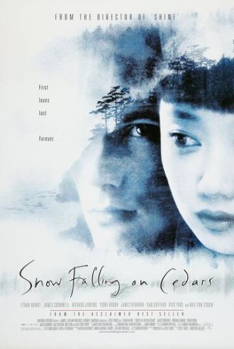 Snow Falling on Cedars (movie 1999)