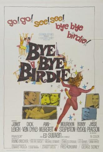 Bye Bye Birdie (movie 1963)