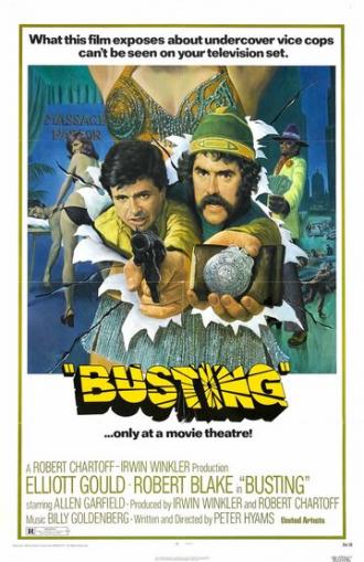 Busting (movie 1974)