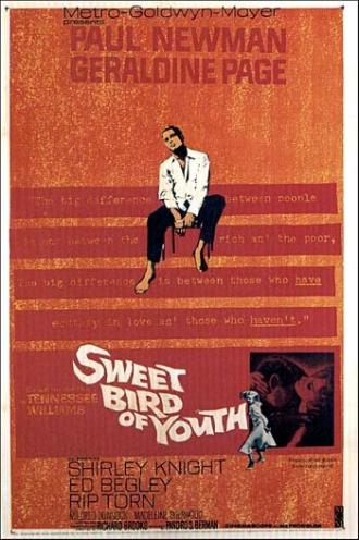 Sweet Bird of Youth (movie 1962)