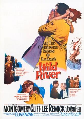 Wild River (movie 1960)
