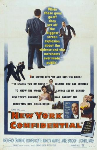New York Confidential (movie 1955)
