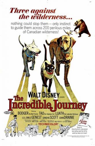 The Incredible Journey (movie 1963)