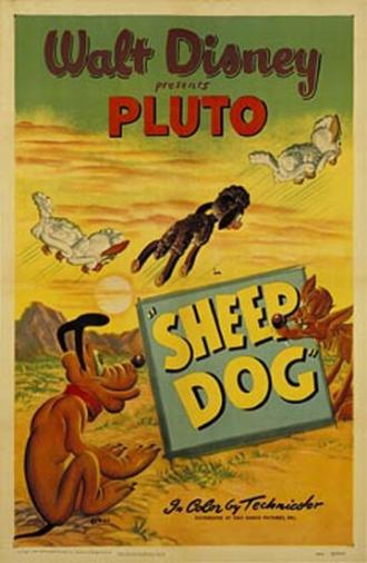 Sheep Dog (movie 1949)