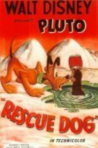 Rescue Dog (movie 1947)