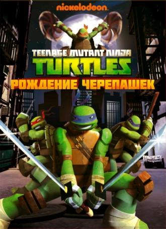 Teenage Mutant Ninja Turtles Rise of the Turtles (tv-series 2012)