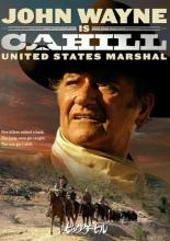 Cahill U.S. Marshal (1973)