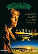 The Ballad of Little Jo (1993)