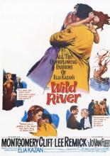 Wild River (1960)