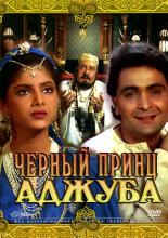 Ajooba (1991)