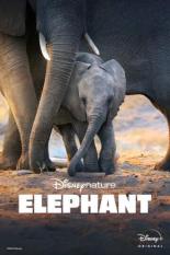 Elephant (2020)