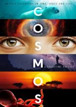 Cosmos: A Spacetime Odyssey (2014)