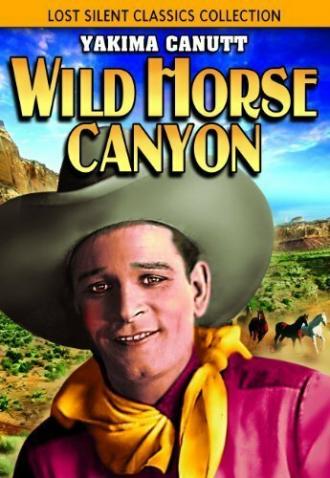 Wild Horse Canyon (movie 1925)