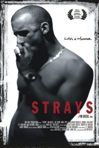 Strays (movie 1997)