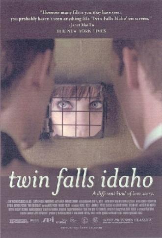 Twin Falls Idaho (movie 1999)