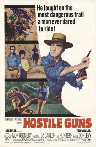 Hostile Guns (movie 1967)