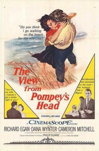 The View from Pompey's Head (movie 1955)
