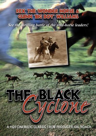 Black Cyclone (movie 1925)