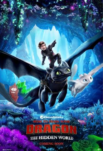 How to Train Your Dragon: The Hidden World (movie 2019)