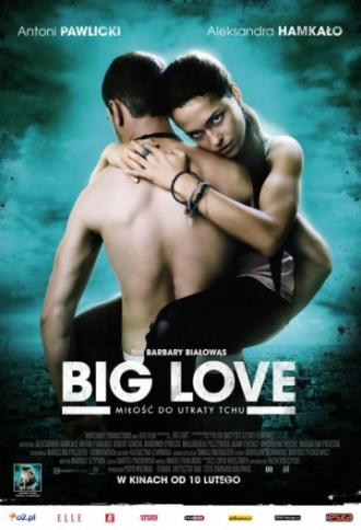 Big Love (movie 2012)