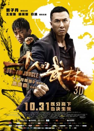 Kung Fu Jungle (movie 2014)