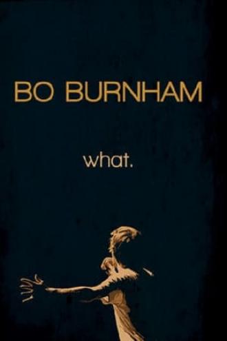 Bo Burnham: What. (movie 2013)