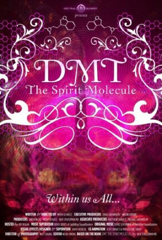 DMT: The Spirit Molecule (movie 2010)