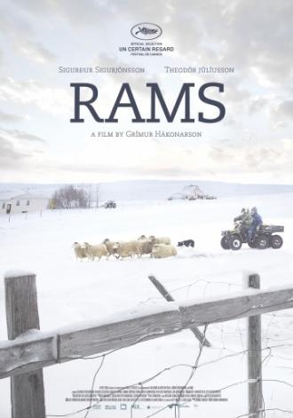 Rams (movie 2015)