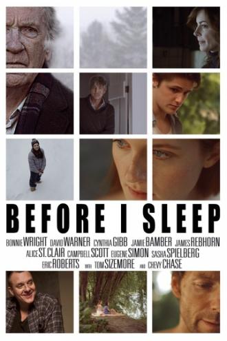 Before I Sleep (movie 2013)