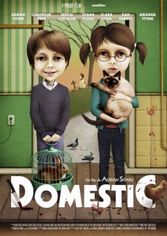 Domestic (movie 2012)
