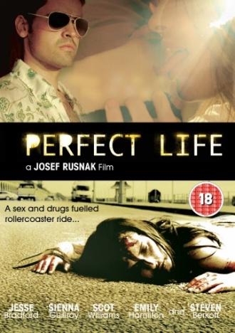 Perfect Life (movie 2010)