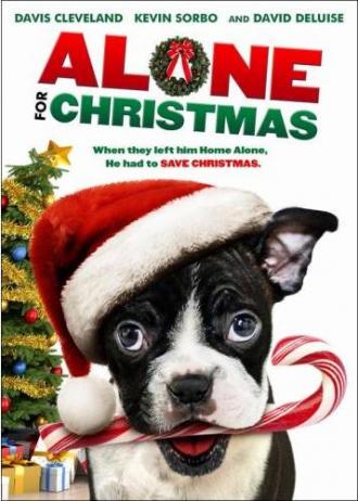 Alone for Christmas (movie 2013)