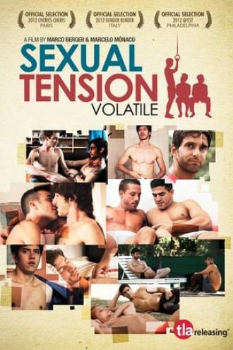 Sexual Tension: Volatile (movie 2012)