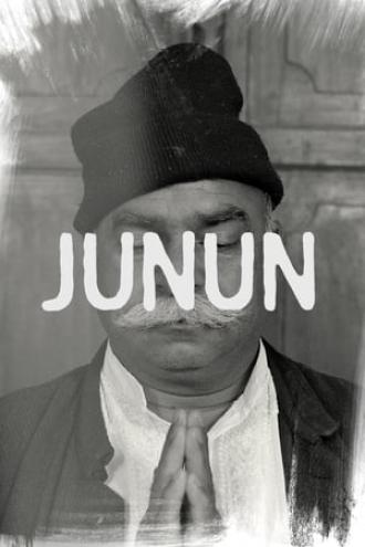 Junun (movie 2015)