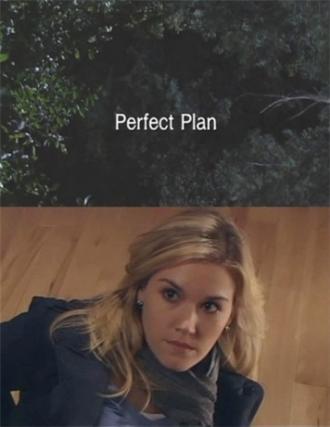 Perfect Plan (movie 2010)