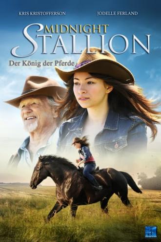 Midnight Stallion (movie 2013)