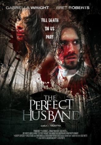 The Perfect Husband (movie 2014)