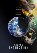 Racing Extinction (2015)