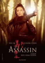 The Assassin (2015)